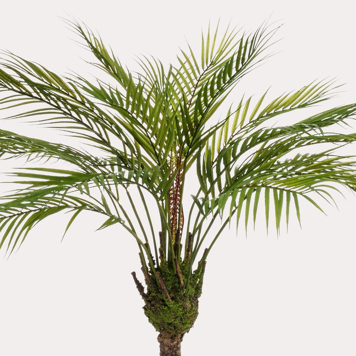 Kunstplant realistisch | 85 cm | Binnenplant | Chamaedorea Bergpalm