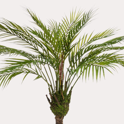 Kunstplant realistisch | 85 cm | Binnenplant | Chamaedorea Bergpalm
