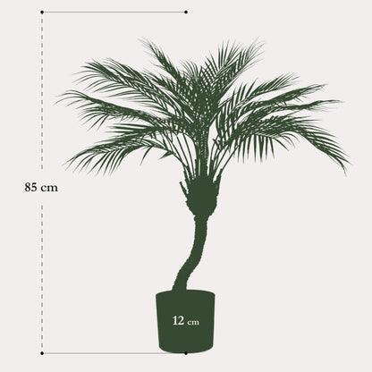 Kunstplant realistisch | 85 cm | Binnenplant | Chamaedorea Bergpalm