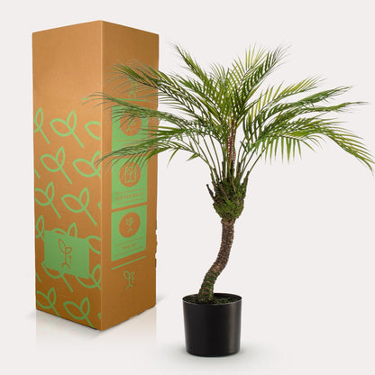 Kunstplant realistisch | 85 cm | Binnenplant | Chamaedorea Bergpalm