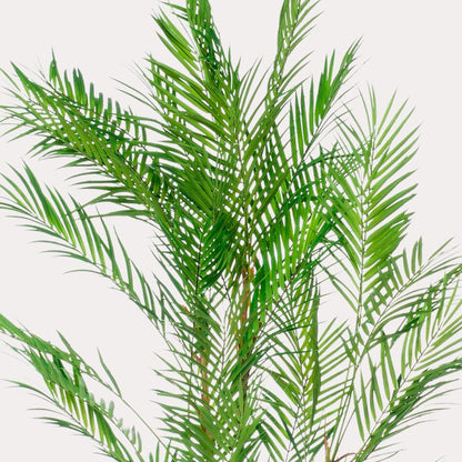 Kunstplant realistisch | 120 cm | Binnenplant | Chamaedorea Elegans Bergpalm