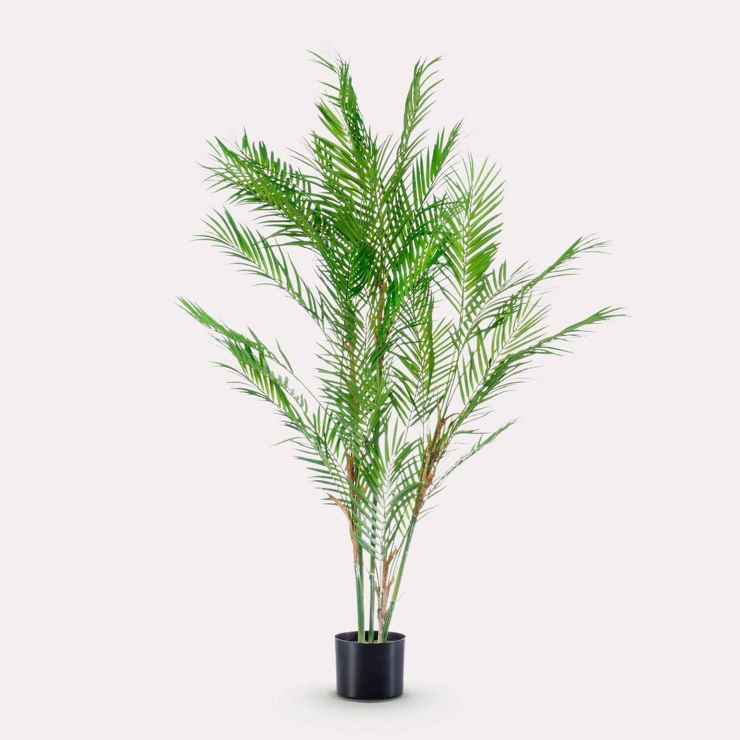 Kunstplant realistisch | 120 cm | Binnenplant | Chamaedorea Elegans Bergpalm