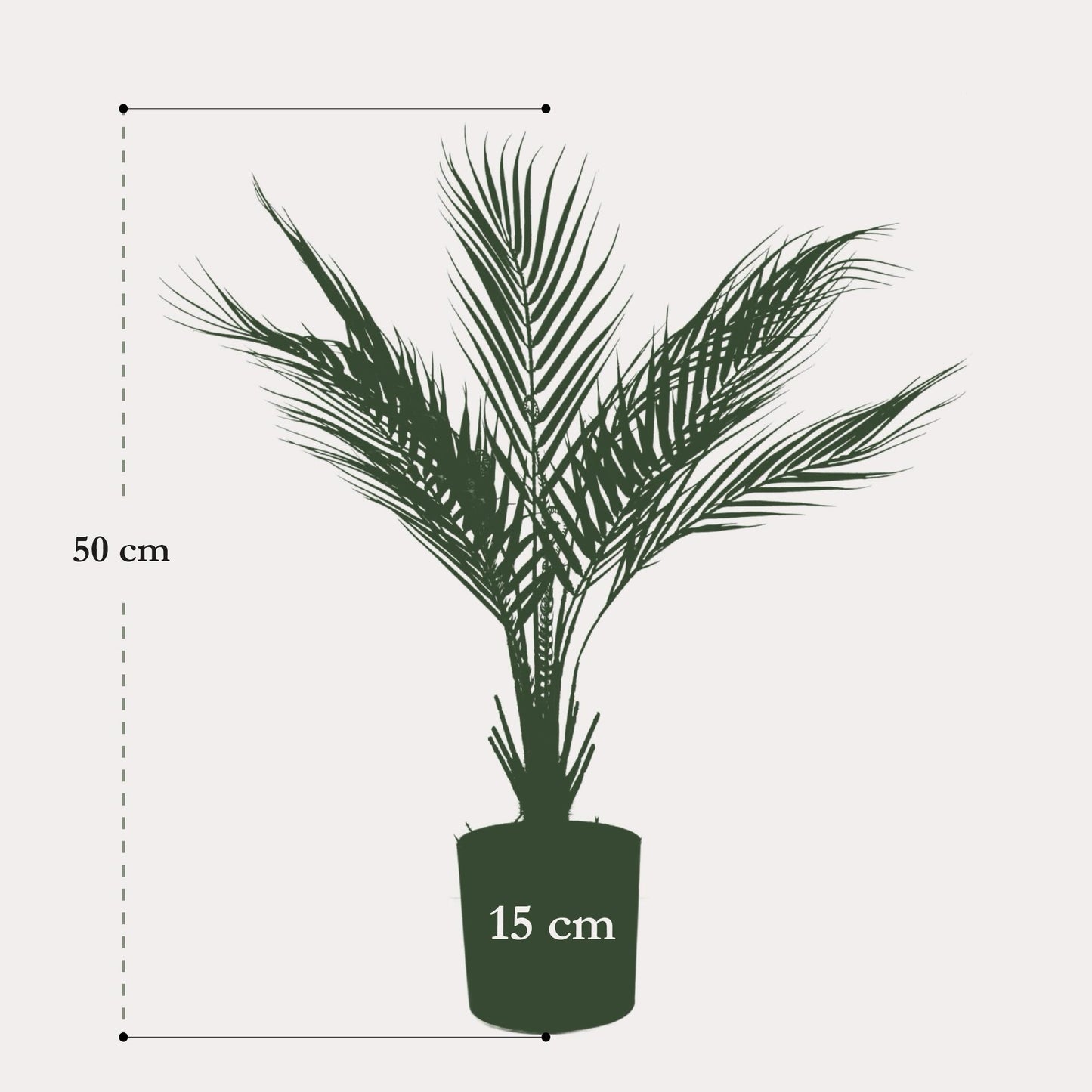 Kunstplant realistisch | 50 cm | Binnenplant | Chamaedorea Bergpalm