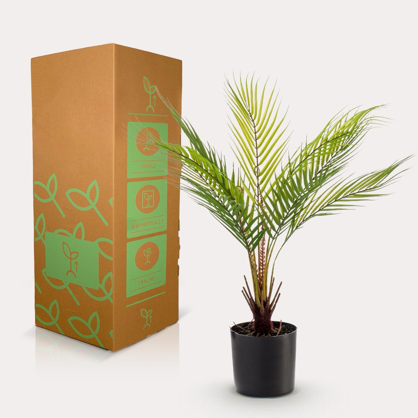 Kunstplant realistisch | 50 cm | Binnenplant | Chamaedorea Bergpalm