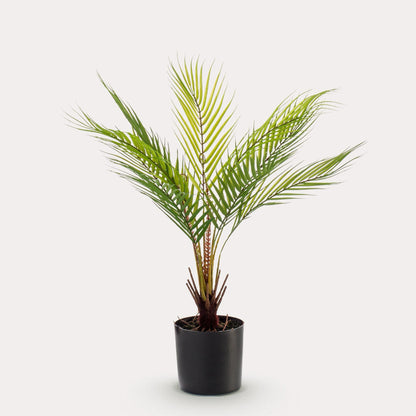 Kunstplant realistisch | 50 cm | Binnenplant | Chamaedorea Bergpalm