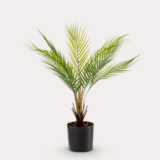 Kunstplant realistisch | 50 cm | Binnenplant | Chamaedorea Bergpalm