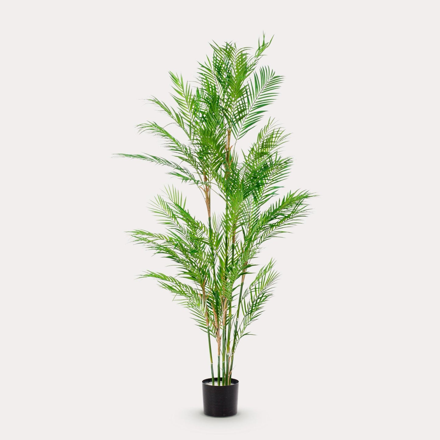 Kunstplant realistisch | 180 cm | Binnenplant | Chamaedorea Elegans Bergpalm