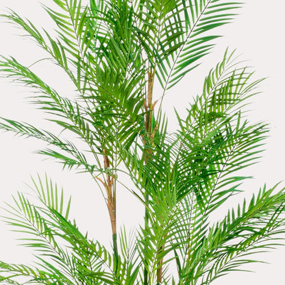 Kunstplant realistisch | 180 cm | Binnenplant | Chamaedorea Elegans Bergpalm