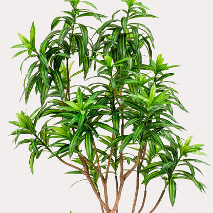 Kunstplant realistisch | 190 cm | Binnenplant | Dracaena Drakenboom