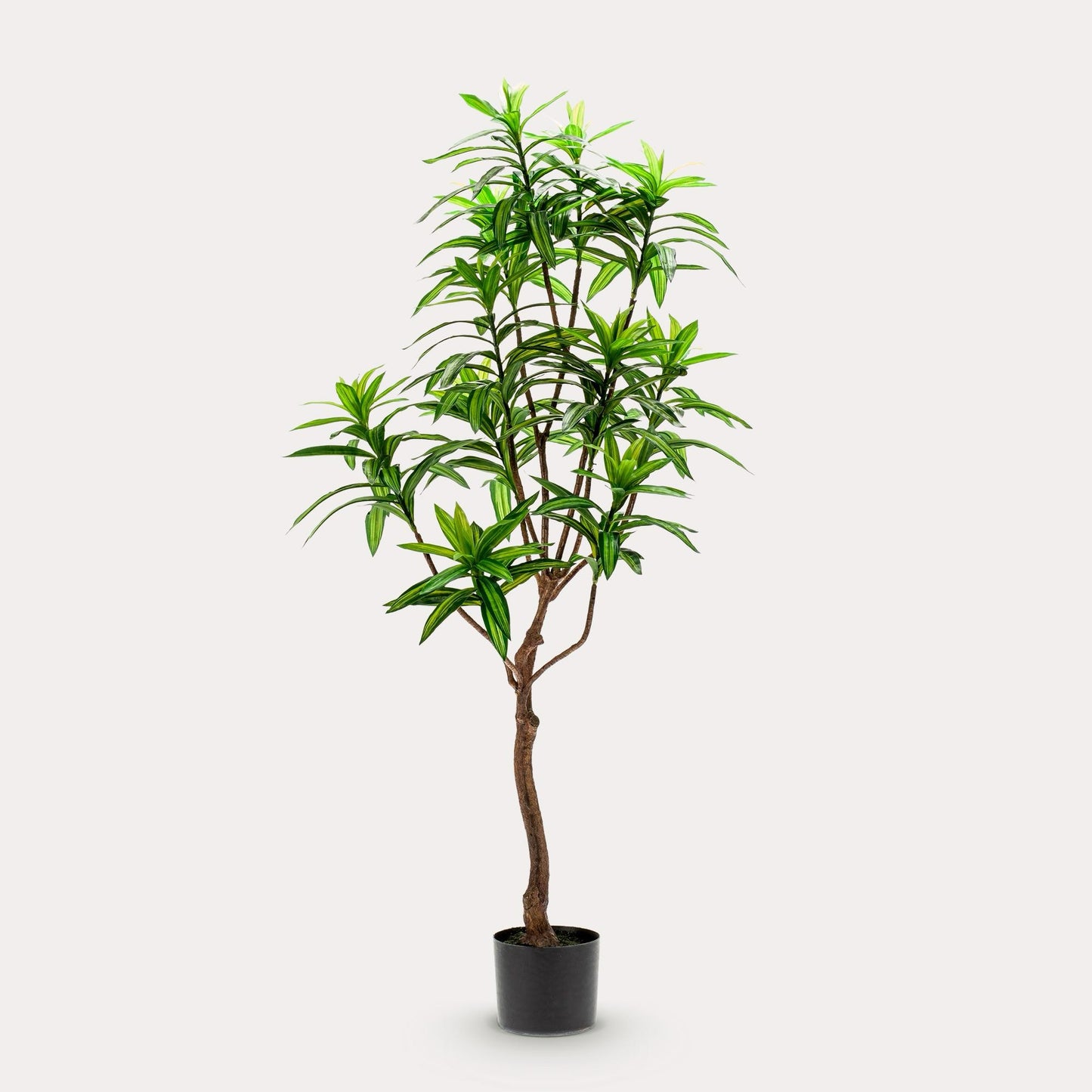 Kunstboom elegant | 130 cm | Binnenplant | Dracaena Drakenboom