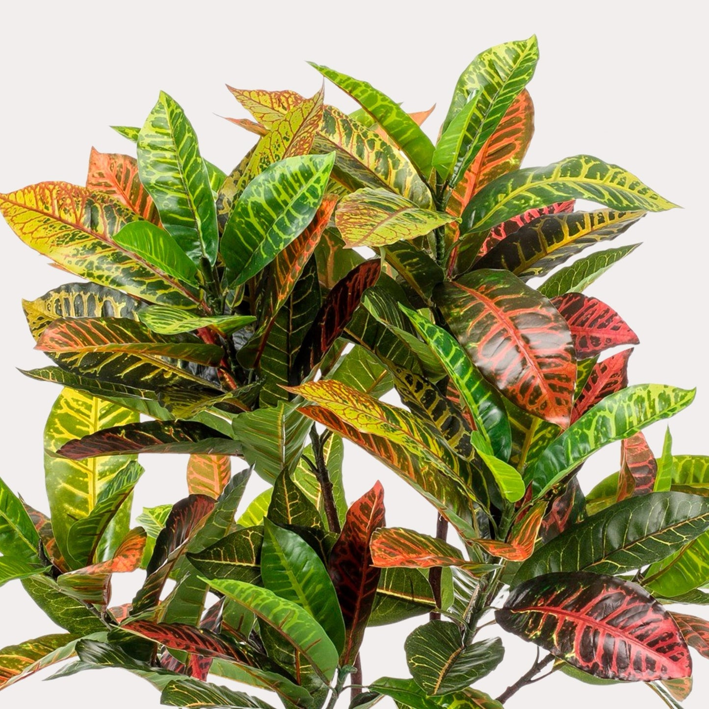 Kunststruik kleurrijk | 120 cm | Binnenplant | Croton Codiaeum Wonderstruik