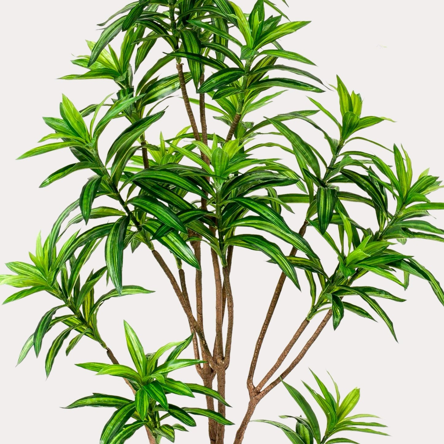 Kunstboom elegant groen | 155 cm | Binnenplant | Dracaena Drakenboom