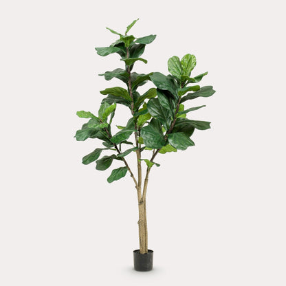 Kunstboom groen | 180 cm | Binnenplant | Ficus Lyrata Tabaksplant