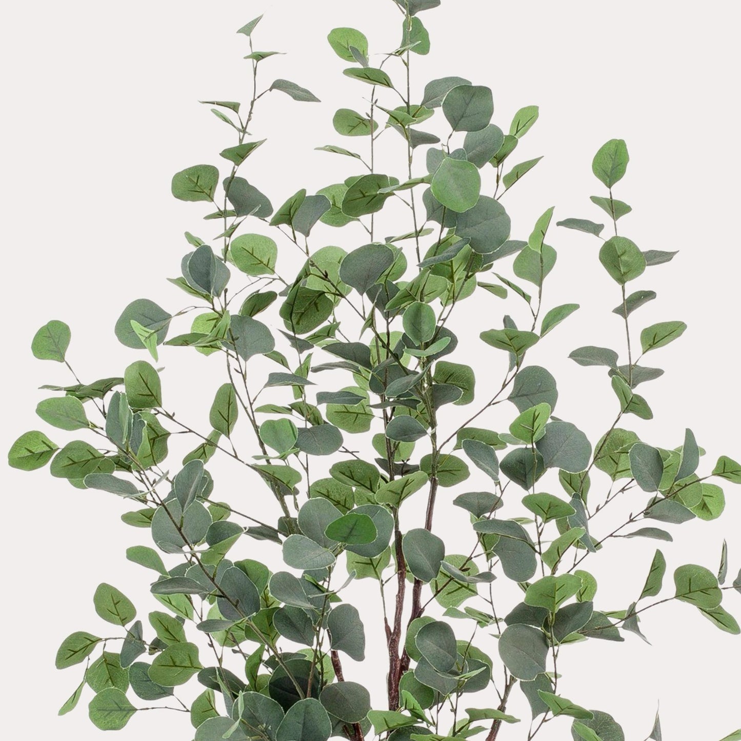 Kunstboom stijlvol | 120 cm | Binnenplant | Eucalyptus Blauwe Gomboom