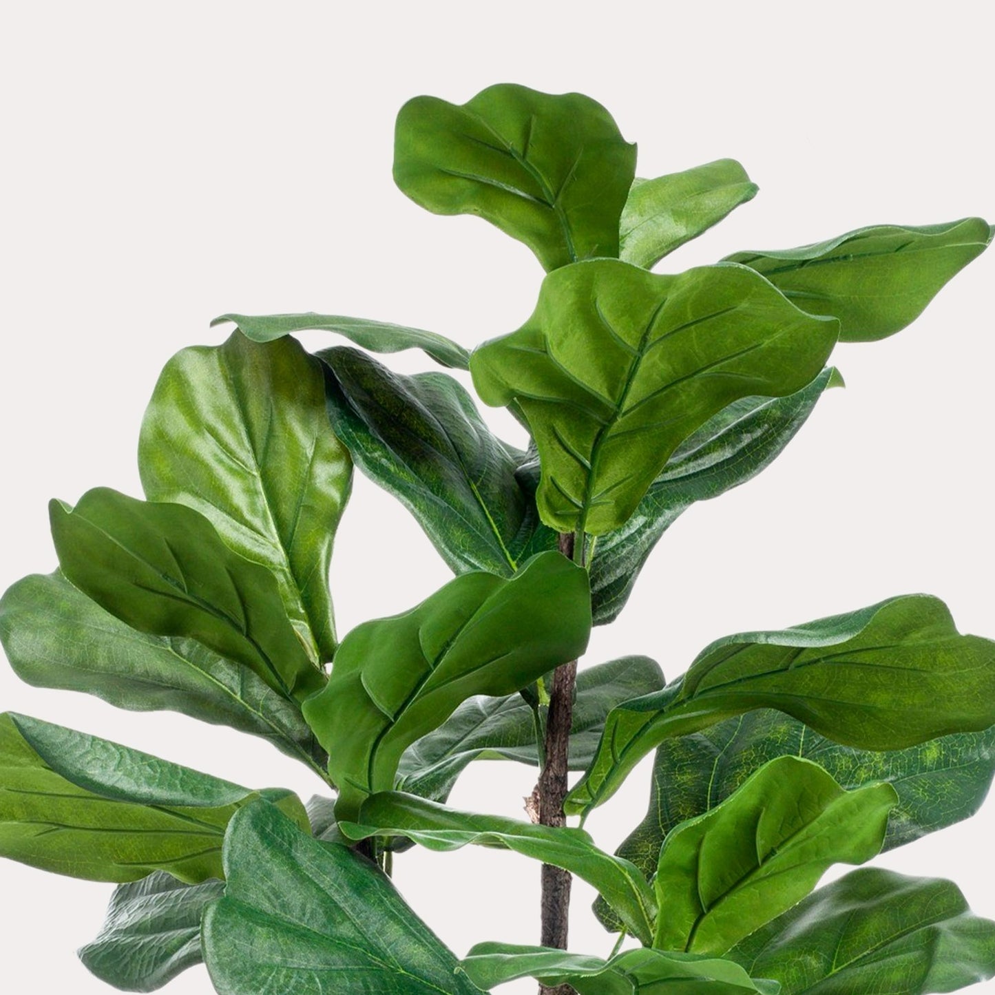 Kunstplant elegant groen | 90 cm | Binnenplant | Ficus Lyrata Tabaksplant