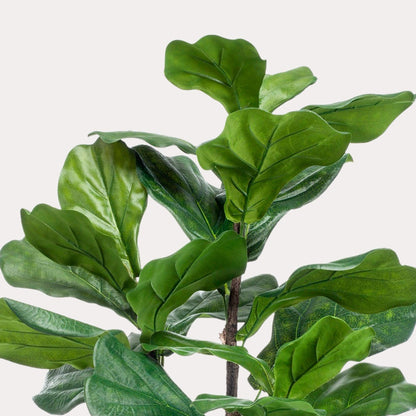 Kunstplant elegant groen | 90 cm | Binnenplant | Ficus Lyrata Tabaksplant