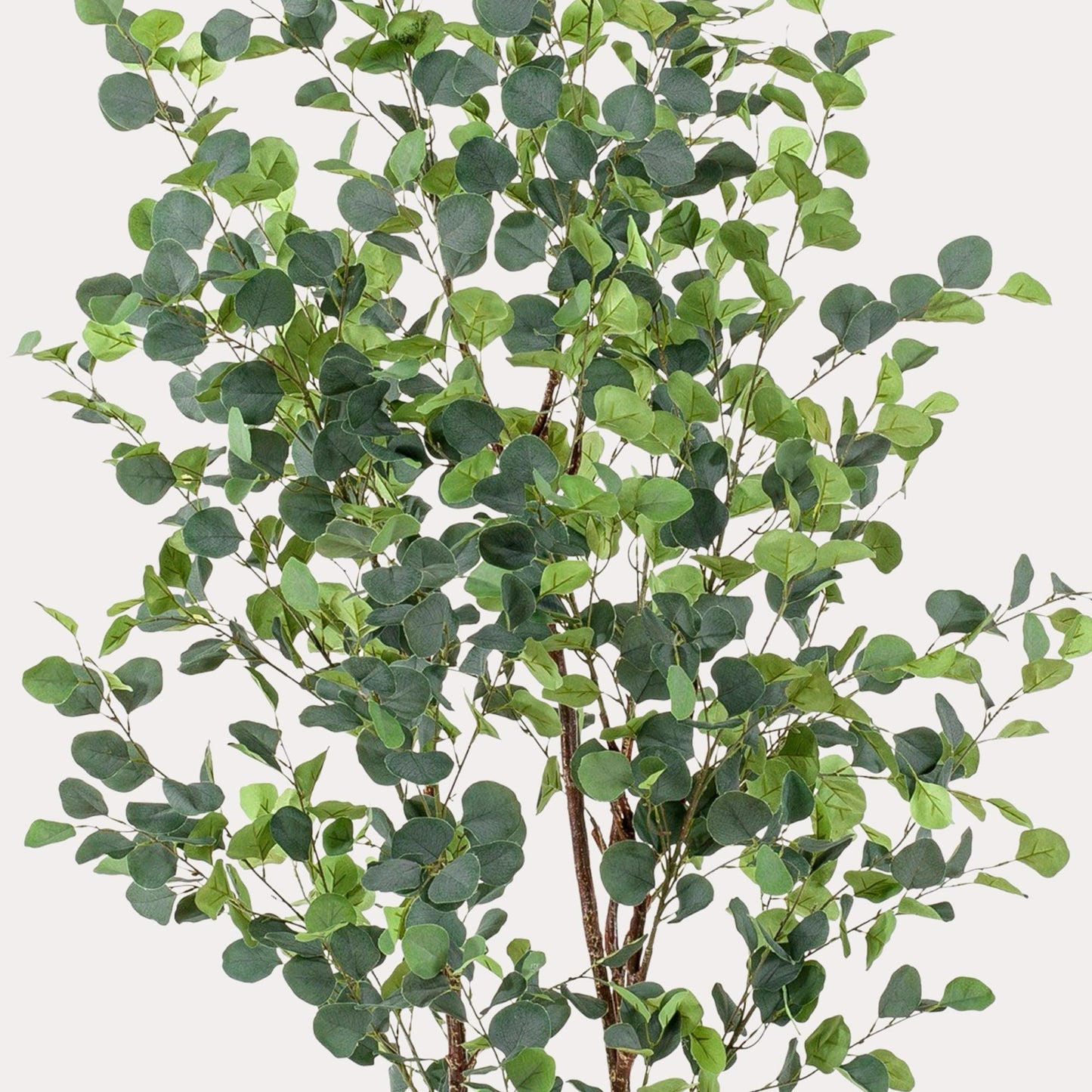 Kunstboom luxe zilvergroen | 180 cm | Binnenplant | Eucalyptus Blauwe Gomboom
