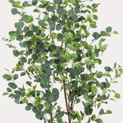 Kunstboom luxe zilvergroen | 180 cm | Binnenplant | Eucalyptus Blauwe Gomboom