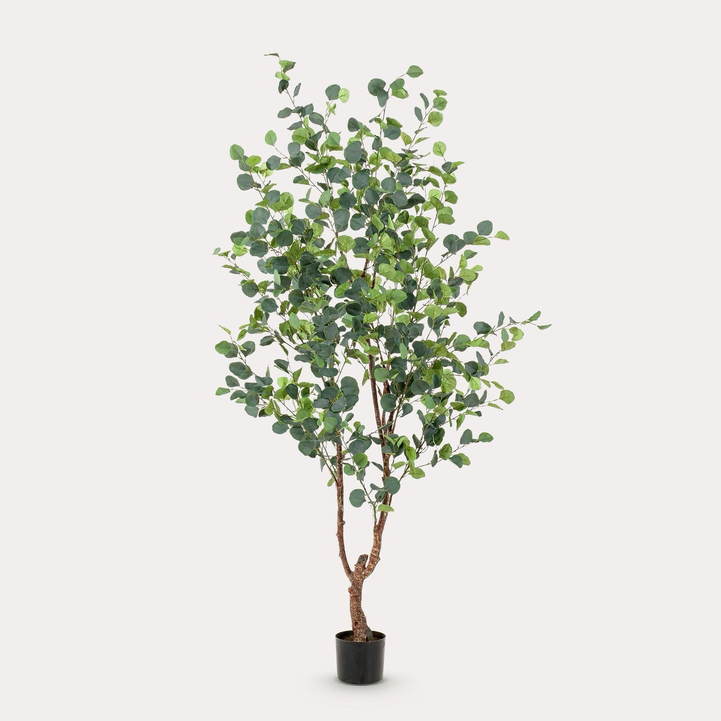 Kunstboom luxe zilvergroen | 180 cm | Binnenplant | Eucalyptus Blauwe Gomboom
