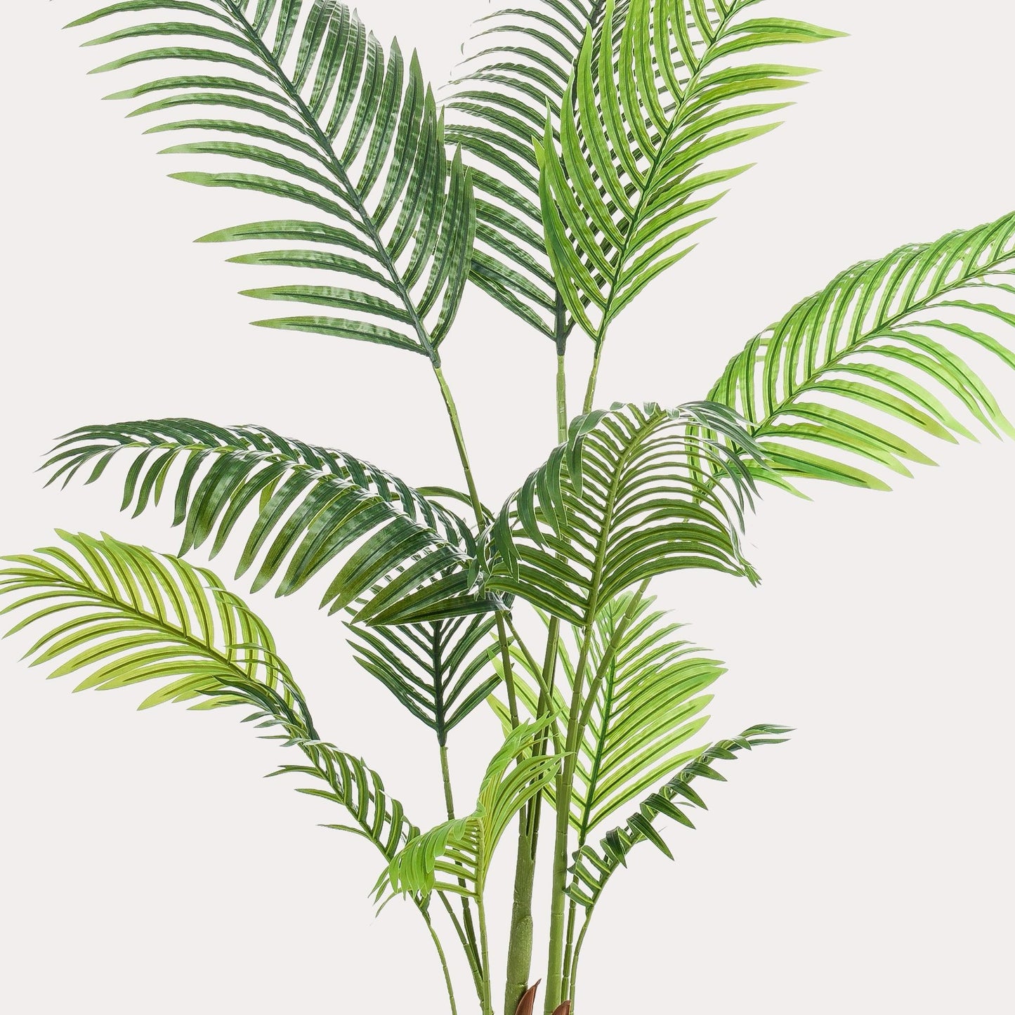 Kunstpalm tropisch groen | 140 cm | Binnenplant | Howea Forsteriana Paradijspalm