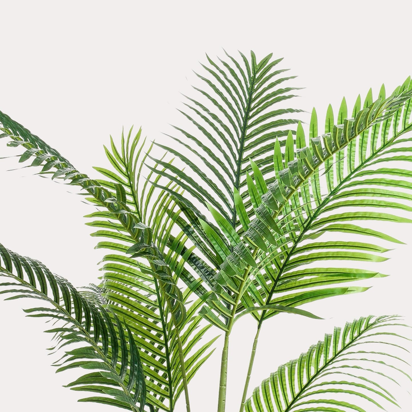 Kunstpalm tropisch groen | 160 cm | Binnenplant | Howea Forsteriana Paradijspalm