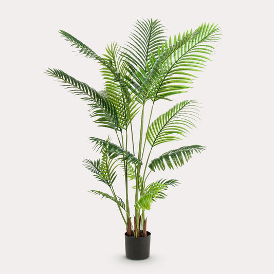 Kunstpalm tropisch groen | 160 cm | Binnenplant | Howea Forsteriana Paradijspalm