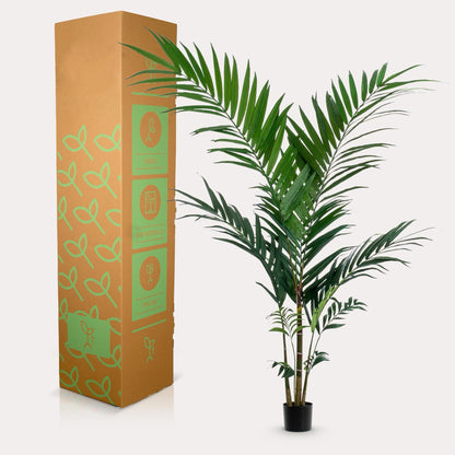 Kunstpalm elegant groen | 150 cm | Binnenplant | Kentia Kentiapalm