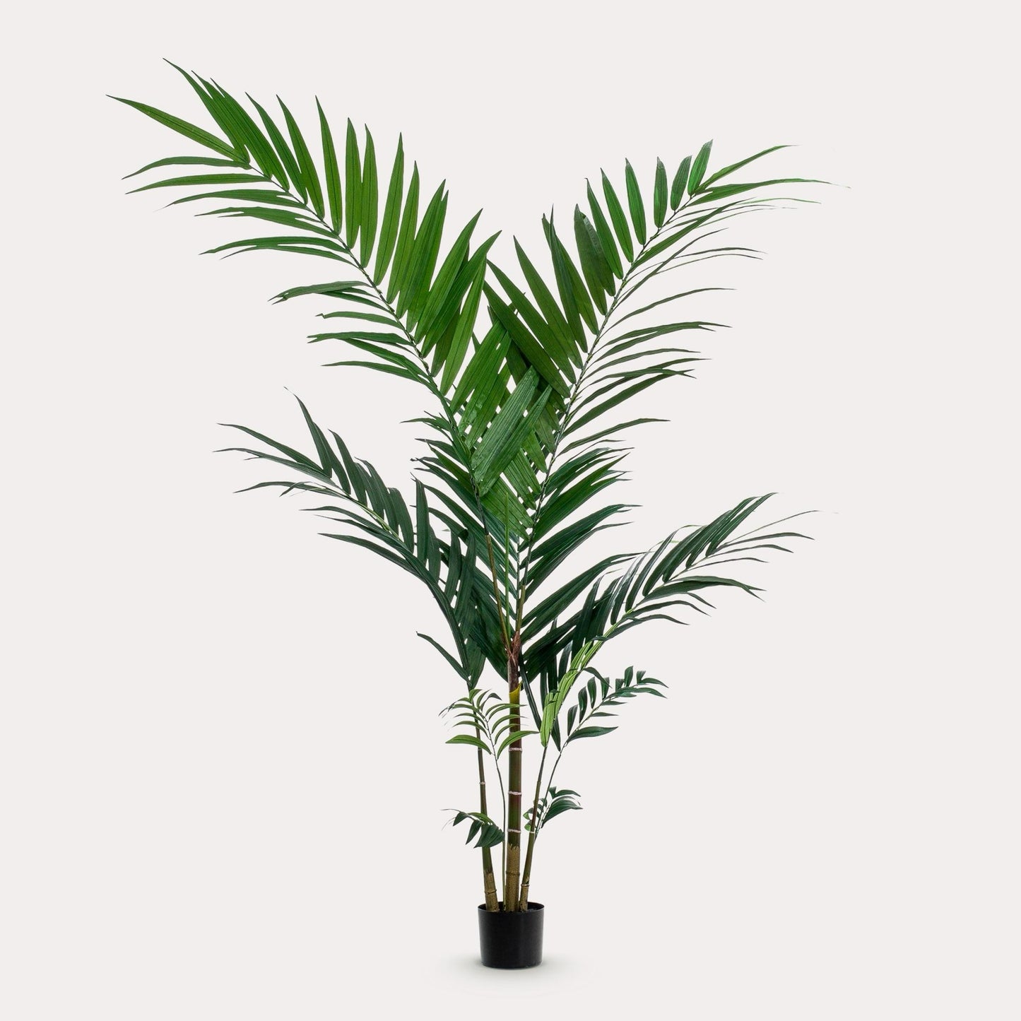 Kunstpalm elegant groen | 150 cm | Binnenplant | Kentia Kentiapalm