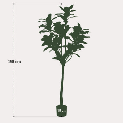 Kunstboom realistisch | 150 cm | Binnenplant | Magnolia Grandiflora