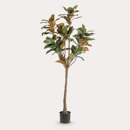Kunstboom realistisch | 150 cm | Binnenplant | Magnolia Grandiflora