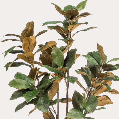 Kunstboom realistisch | 150 cm | Binnenplant | Magnolia Grandiflora