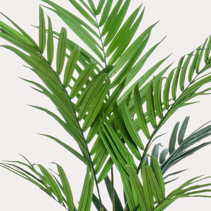 Kunstpalm tropisch | 180 cm | Binnenplant | Kentia Howea Forsteriana