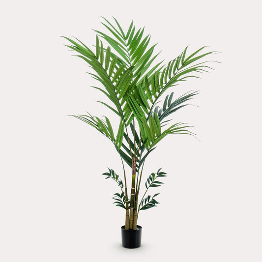 Kunstpalm tropisch | 180 cm | Binnenplant | Kentia Howea Forsteriana
