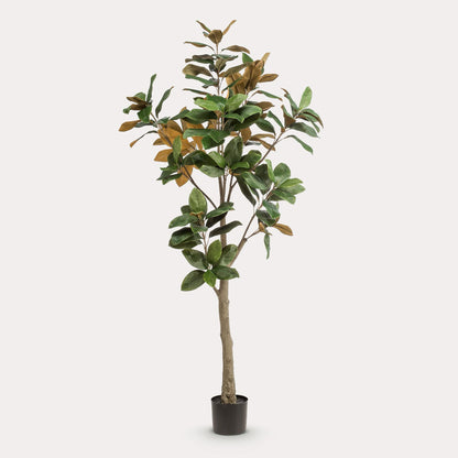 Kunstboom luxe | 180 cm | Binnenplant | Magnolia Grandiflora