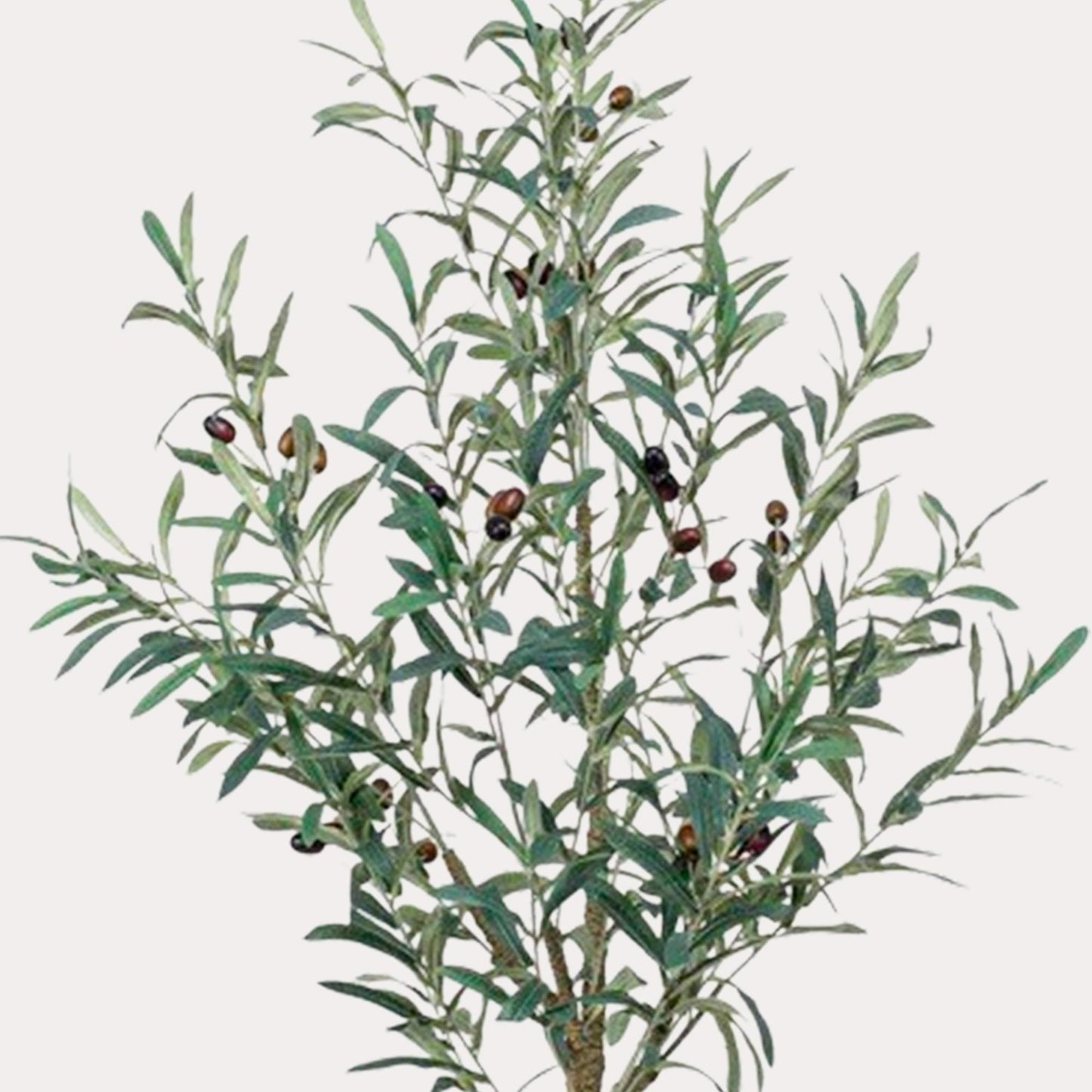 Kunst Olijfboom realistisch | 115 cm | Binnenplant | Olea Europaea