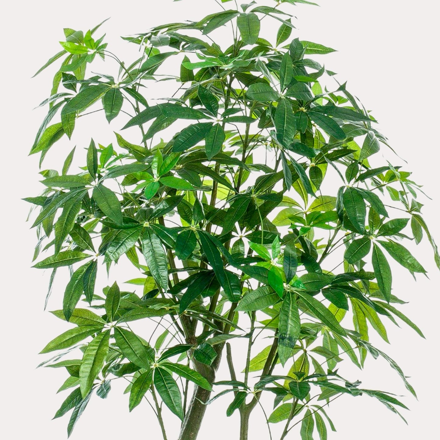 Pachira Aquatica kunst Geldboom 180 cm | Grote nep plant met gevlochten stam