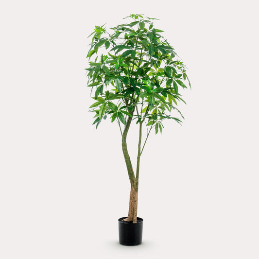 Pachira Aquatica kunst Geldboom 180 cm | Grote nep plant met gevlochten stam