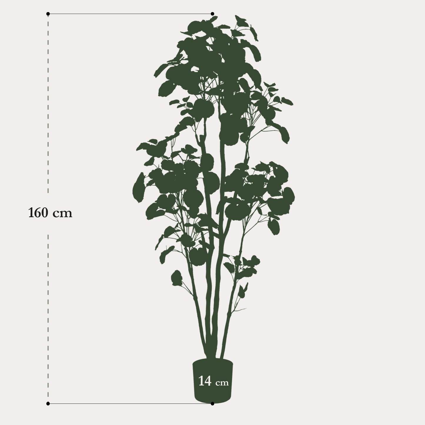Polyscias Aralia kunstboom 160 cm | Grote groene kunstboom met volle bladeren