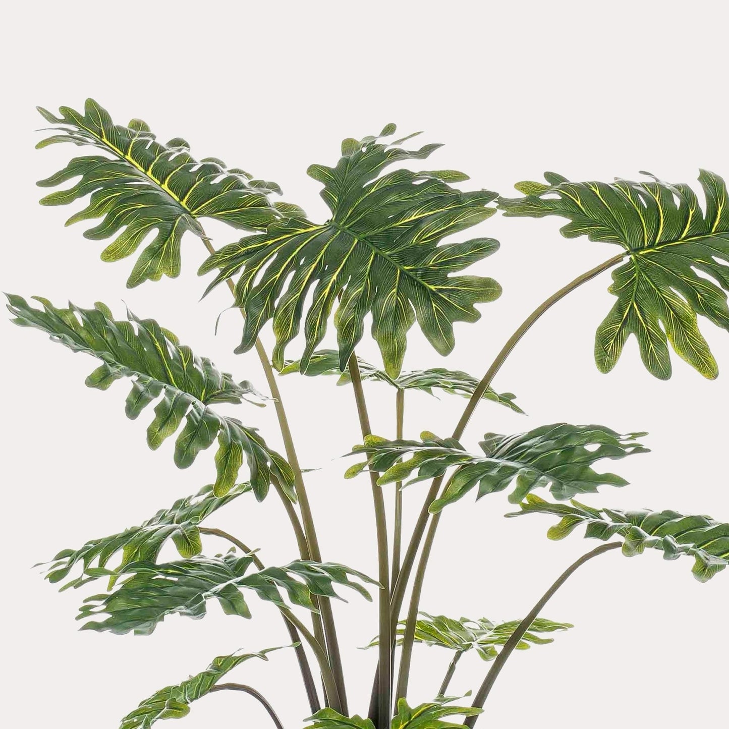 Philodendron kunstplant 80 cm | Realistische tropische nepplant binnen