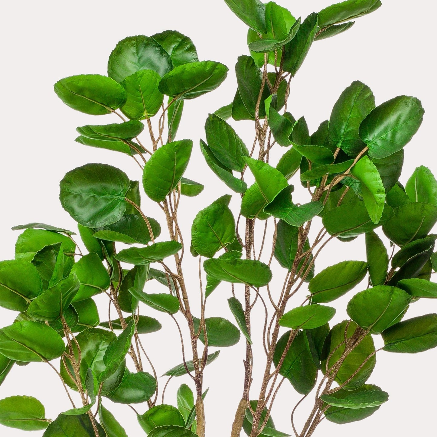 Polyscias Aralia kunstboom 150 cm | Luxe volle kunstplant voor binnen