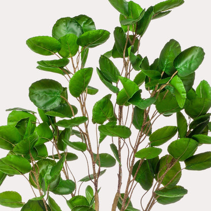 Polyscias Aralia kunstboom 150 cm | Luxe volle kunstplant voor binnen