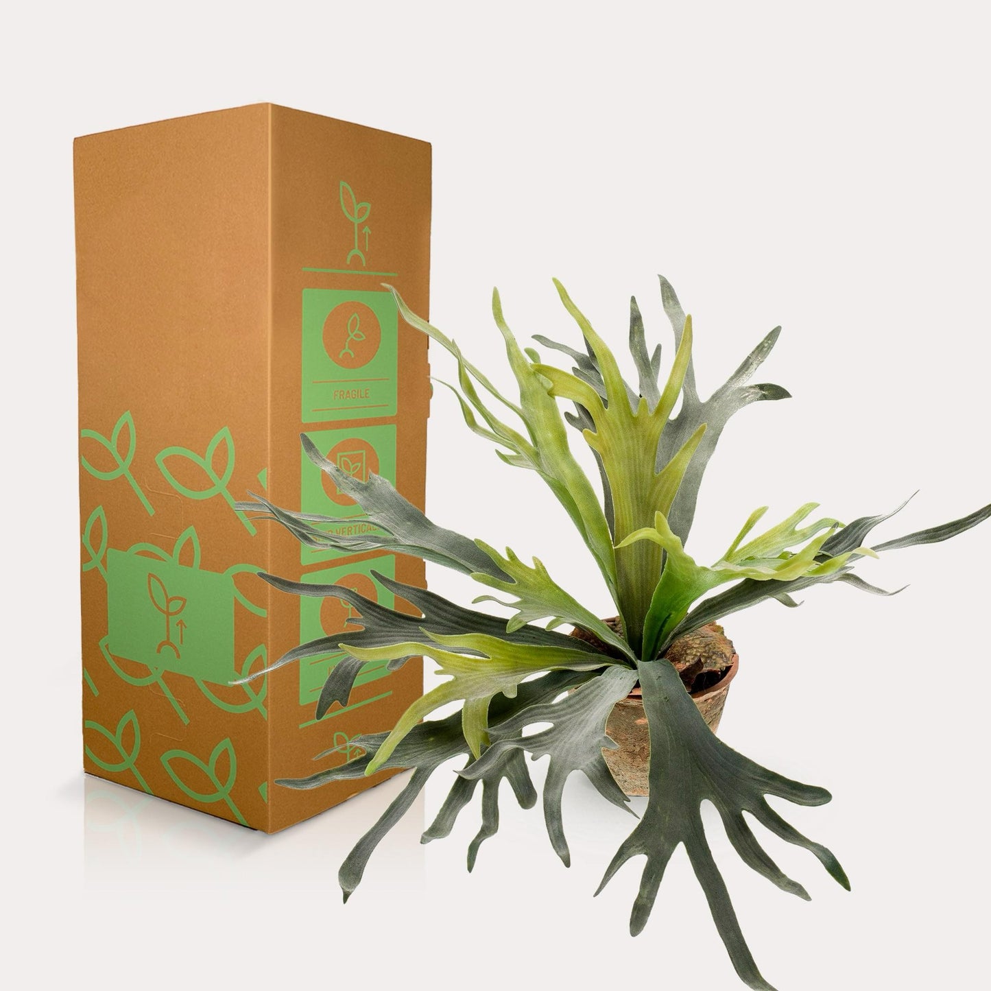 Hertshoornvaren kunstplant 50 cm | Staghorn fern nep plant