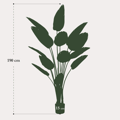 Strelitzia Nicolai kunstplant 190 cm | Grote paradijsvogelplant kunst