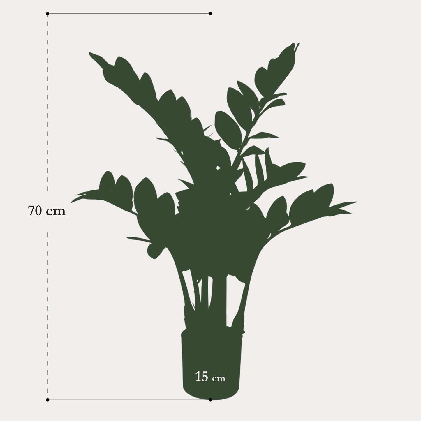 Zamioculcas kunstplant 70 cm | Kleine ZZ nepplant voor woonkamer