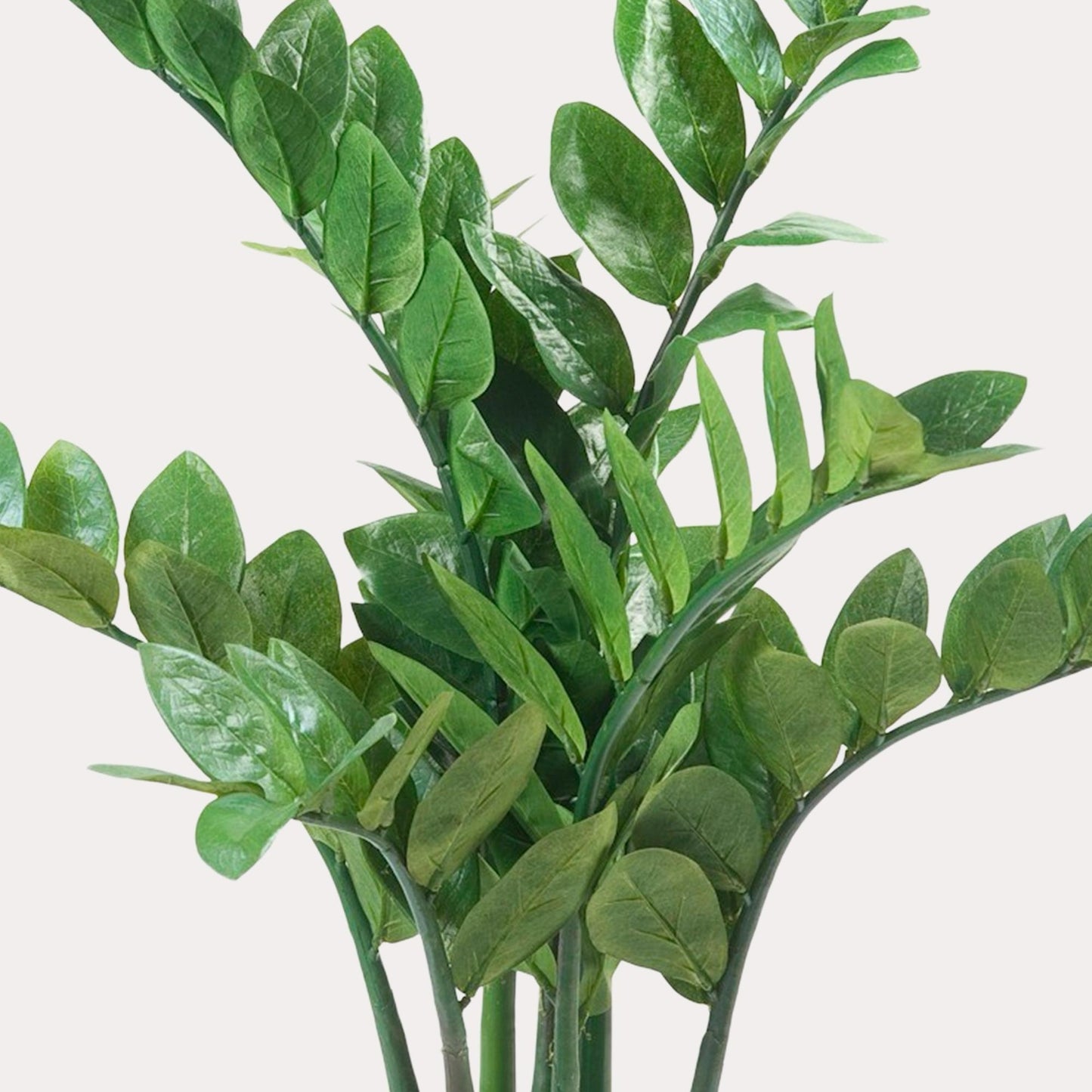 Zamioculcas kunstplant 70 cm | Kleine ZZ nepplant voor woonkamer