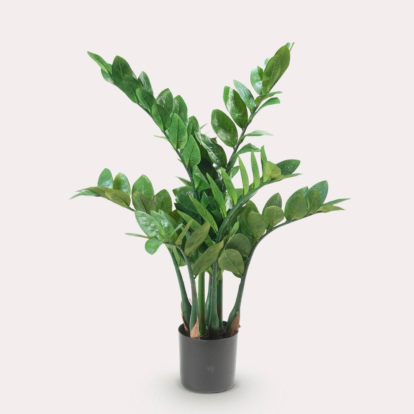 Zamioculcas kunstplant 70 cm | Kleine ZZ nepplant voor woonkamer