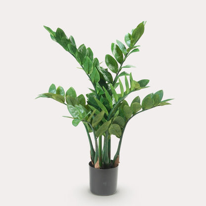 Zamioculcas kunstplant 70 cm | Kleine ZZ nepplant voor woonkamer