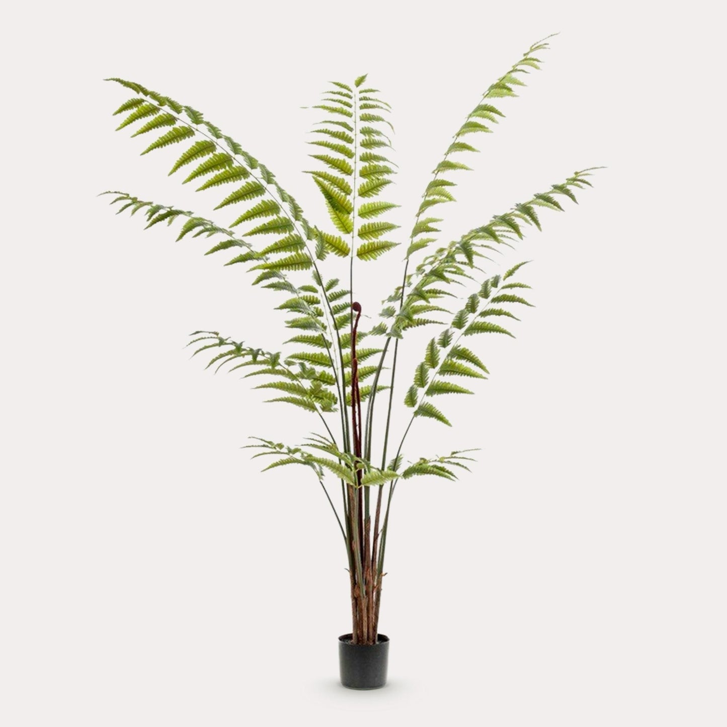 Ledervaren kunstplant 180 cm | Grote nepvaren met luchtige groene bladeren