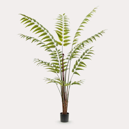Ledervaren kunstplant 180 cm | Grote nepvaren met luchtige groene bladeren