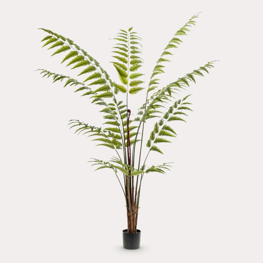 Ledervaren kunstplant 180 cm | Grote nepvaren met luchtige groene bladeren